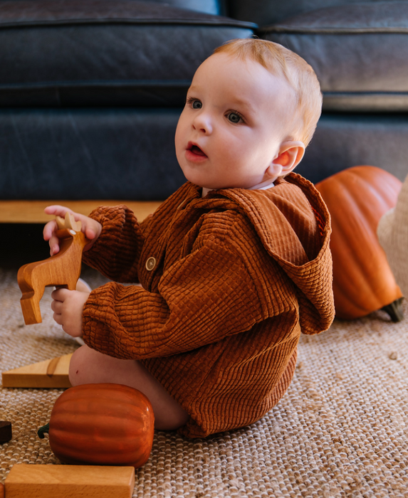 Toddler boy hooded sales sweater