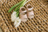Blush Leather Sandals - Babe Basics